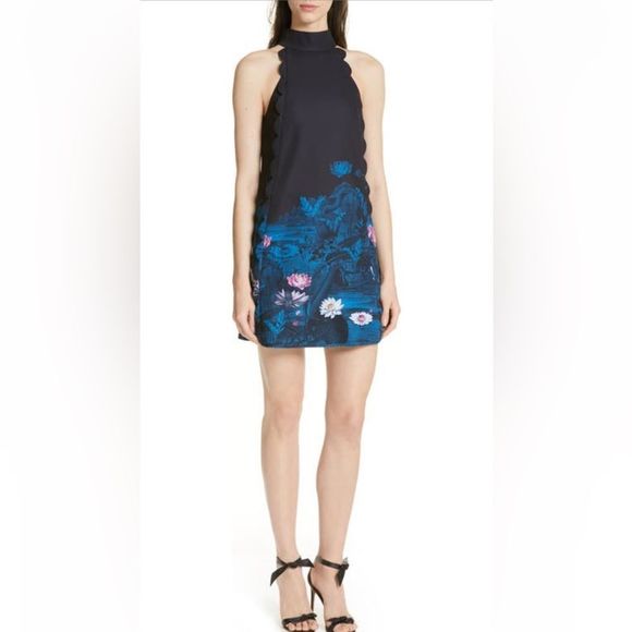 TED BAKER LONDON EURELA WONDERLAND SCALLOPED A-LINE DRESS- WORN ONCE- SIZE 2 - Picture 1 of 13
